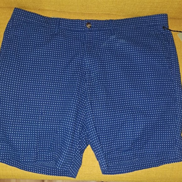 Goodfellow & Co Waterloo Blue Linden Flat-Front shorts Sz 42 - Picture 1 of 11